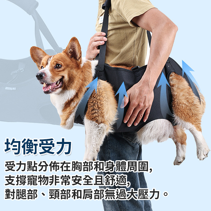 現貨🔥寵物四肢輔助帶 全身支撐牽引帶 狗狗全身輔助背帶 四肢輔助提帶 寵物步行輔助帶 老狗輔助帶 腿部支撐 寵物輔助背-細節圖7