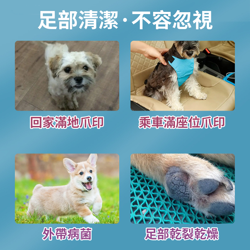 【毛孩外出必備!!】免沖洗寵物潔足泡沫 寵物腳底清潔慕斯 寵物腳底清潔泡沫 貓狗足部清潔 貓狗洗腳液 貓狗腳底清潔-細節圖7