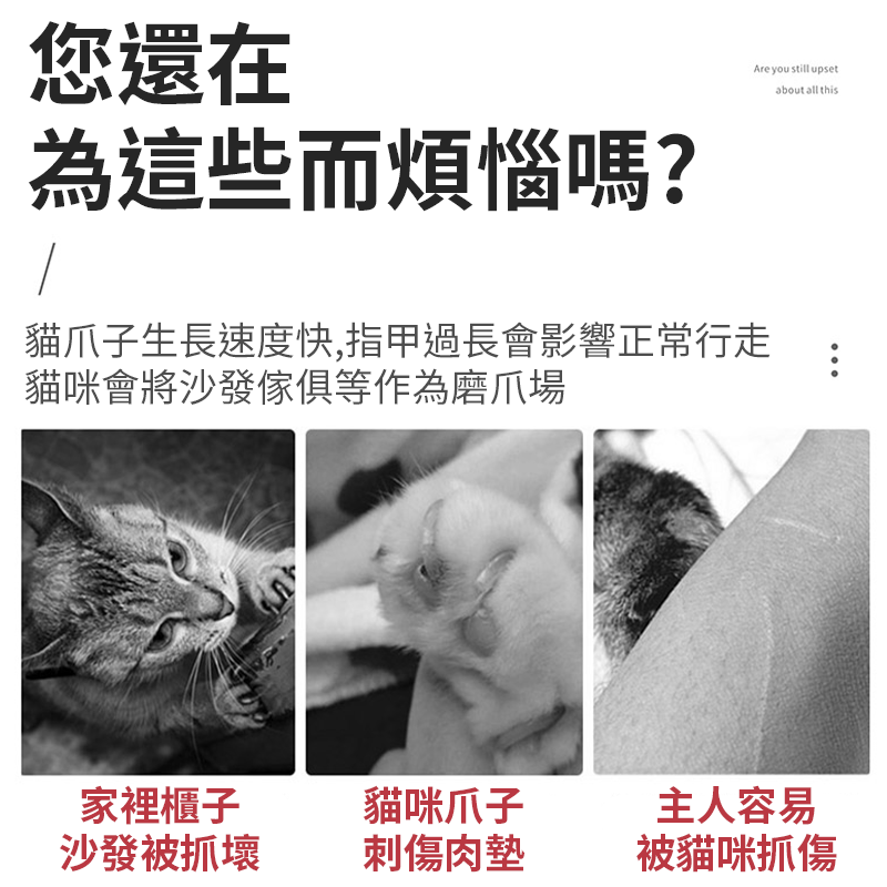 現貨🔥圓形貓抓板 橢圓貓抓窩 貓抓碗 貓抓板 碗型貓抓板 貓抓圓窩 凹面抓板 瓦楞紙抓板 貓咪抓板-細節圖3