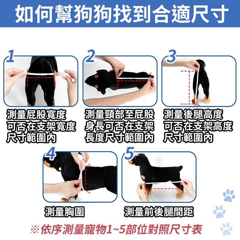 【台灣現貨】寵物輪椅 狗狗代步輪椅 寵物康復代步車 狗狗後腿輔助支架 老年狗受傷殘疾癱瘓輔助車 狗狗貓咪輪椅-細節圖8