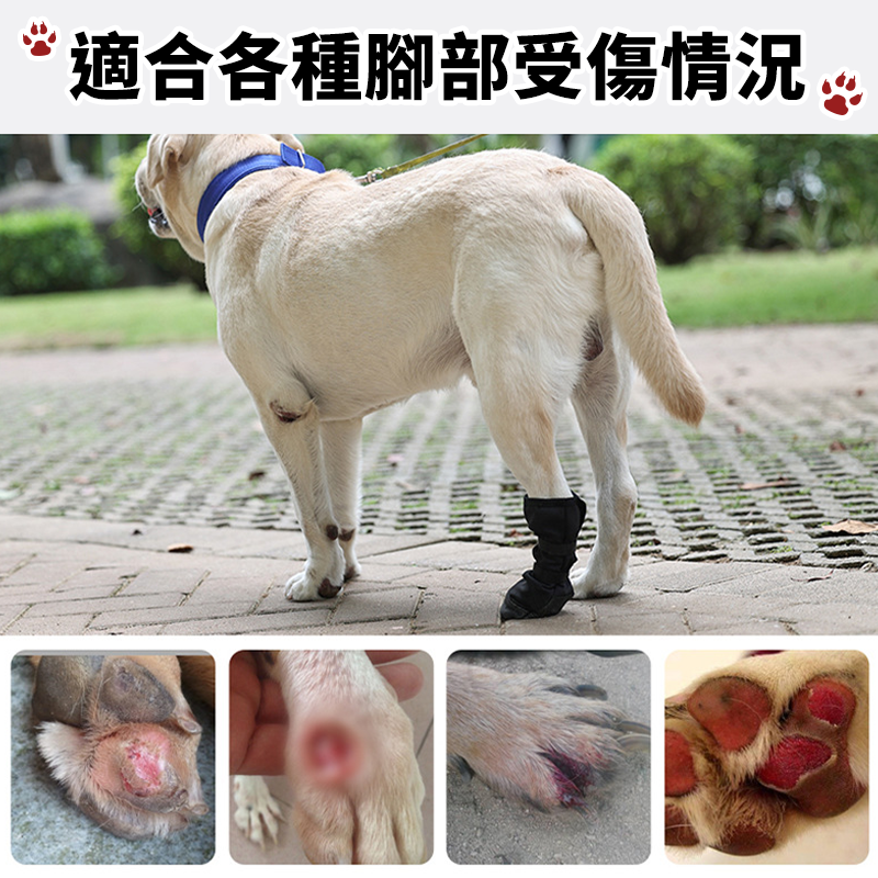 【台灣現貨】狗腳掌爪子保護套 狗爪保護 寵物腳掌術後恢復鞋套 腳部腳踝傷口保護套 寵物腳爪傷口保護鞋子 狗狗鞋套-細節圖4