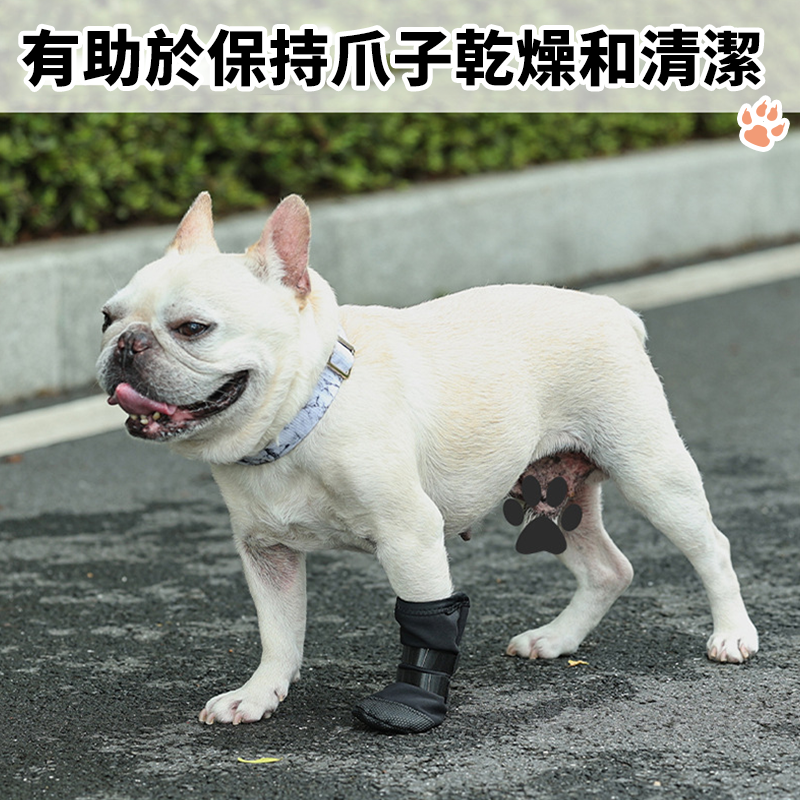【台灣現貨】狗腳掌爪子保護套 狗爪保護 寵物腳掌術後恢復鞋套 腳部腳踝傷口保護套 寵物腳爪傷口保護鞋子 狗狗鞋套-細節圖5