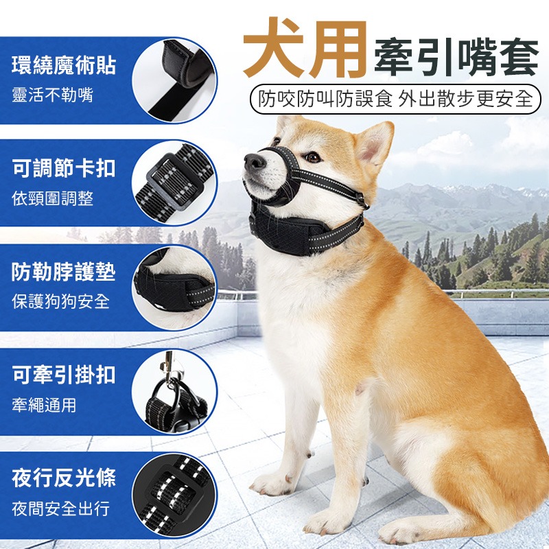 【現貨新款】可牽引狗嘴套 寵物嘴套 狗狗防咬防叫嘴套 外出嘴套 寵物防咬 狗嘴套 防叫 防咬嘴套-細節圖2