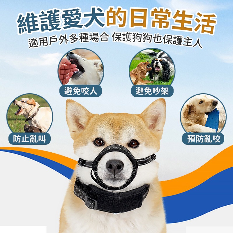 【現貨新款】可牽引狗嘴套 寵物嘴套 狗狗防咬防叫嘴套 外出嘴套 寵物防咬 狗嘴套 防叫 防咬嘴套-細節圖3