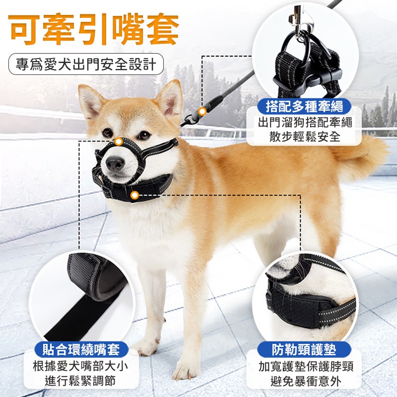 【現貨新款】可牽引狗嘴套 寵物嘴套 狗狗防咬防叫嘴套 外出嘴套 寵物防咬 狗嘴套 防叫 防咬嘴套-細節圖4