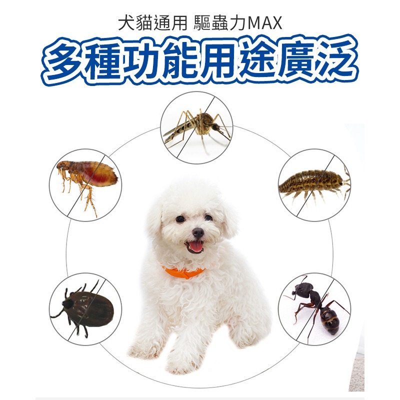 【台灣現貨】寵物驅蚤項圈 防蚤項圈 除蚤項圈 驅蟲項圈 防跳蚤項圈 除蚤 狗 貓防跳蚤用品 寵物項圈 除蟲項圈 防蟲項圈-細節圖4
