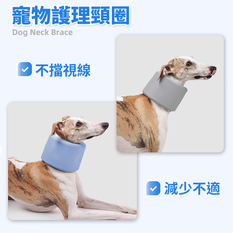現貨🔥 寵物護頸圈 頸托 支撐頸椎 固定頸椎 護頸 狗落枕固定 脖圈 狗脖子扭傷固定支撐 頸椎固定 狗頸椎術後康後-細節圖2