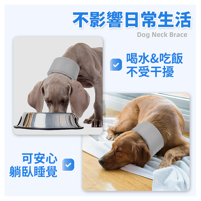 現貨🔥 寵物護頸圈 頸托 支撐頸椎 固定頸椎 護頸 狗落枕固定 脖圈 狗脖子扭傷固定支撐 頸椎固定 狗頸椎術後康後-細節圖3