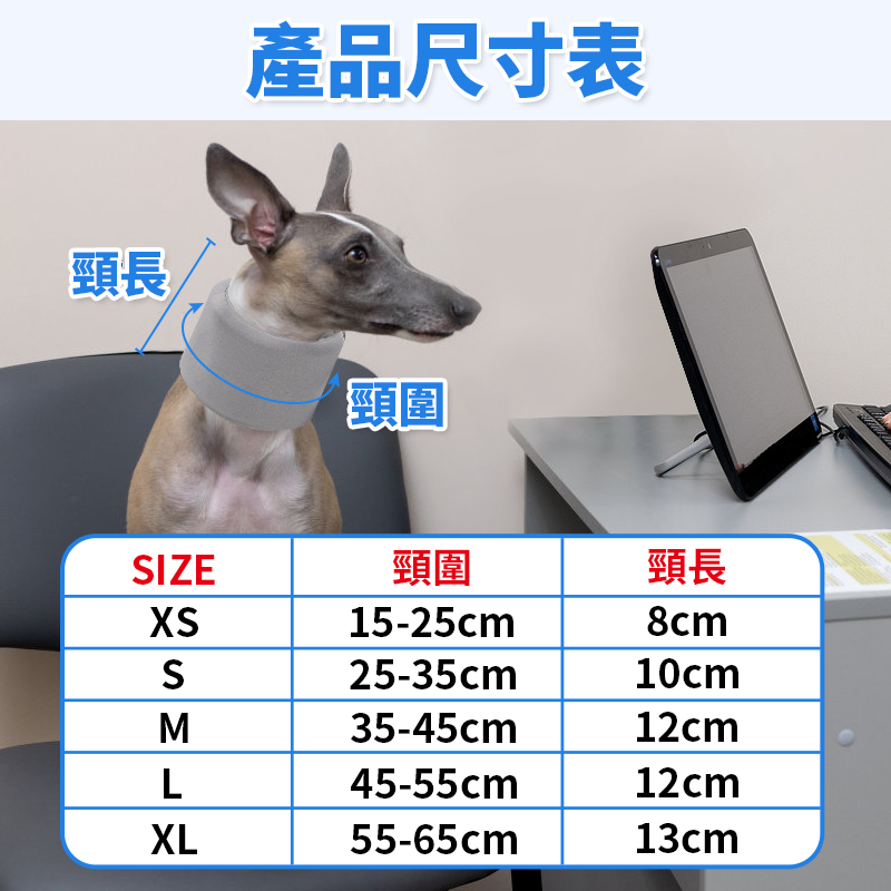 現貨🔥 寵物護頸圈 頸托 支撐頸椎 固定頸椎 護頸 狗落枕固定 脖圈 狗脖子扭傷固定支撐 頸椎固定 狗頸椎術後康後-細節圖8