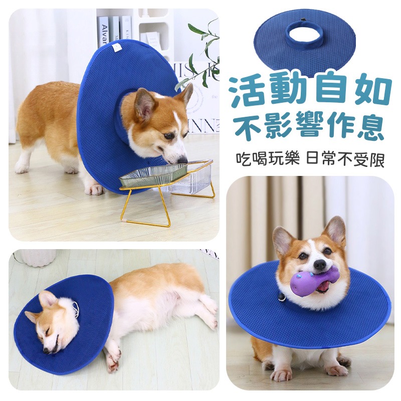 【防暑透氣】寵物伊莉莎白圈 狗狗防舔頭套 寵物防舔圈 伊莉莎白 術後防舔頭套 大型犬頭套 防護項圈 羞耻圈 防咬圈-細節圖7