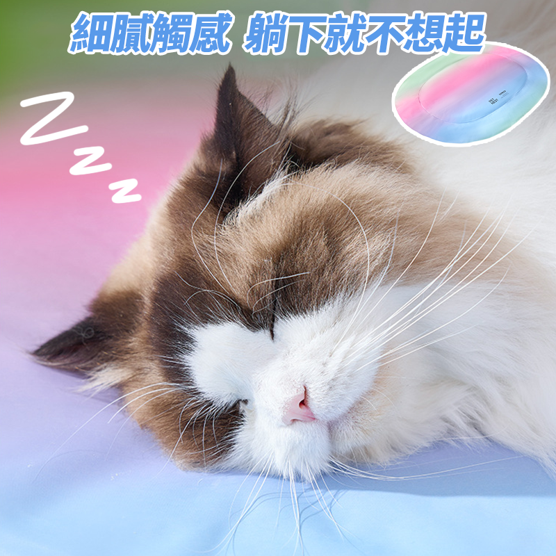 【涼酷彩虹冰墊】寵物冰墊 夏季 涼感墊 寵物涼墊 貓狗涼墊 狗窩涼感墊 冰涼墊 寵物涼蓆 凝膠冰窩 寵物睡墊 冰墊睡墊-細節圖3