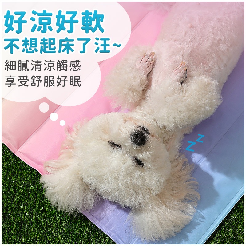 涼爽爽冰墊 寵物涼感墊 漸變彩虹冰墊 寵物涼墊 貓狗涼墊 狗窩涼感墊 冰涼墊 寵物涼蓆 凝膠冰窩 寵物睡墊 冰墊睡墊-細節圖2
