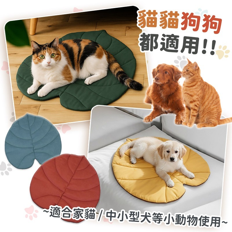 【葉子造型保暖墊】寵物睡墊 貓咪狗狗冬季暖墊 寵物保暖墊 多功能可水洗 貓咪睡墊 狗狗保暖窩墊 冬天保暖墊 毛小孩睡墊-細節圖7