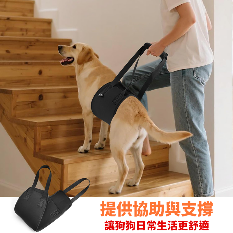 寵物輔助帶 步行提帶 牽引帶 老狗輔助帶 輔助背帶 寵物步行輔助 狗關節退化受傷輔助帶 腿部支撐 寵物腰帶-細節圖3