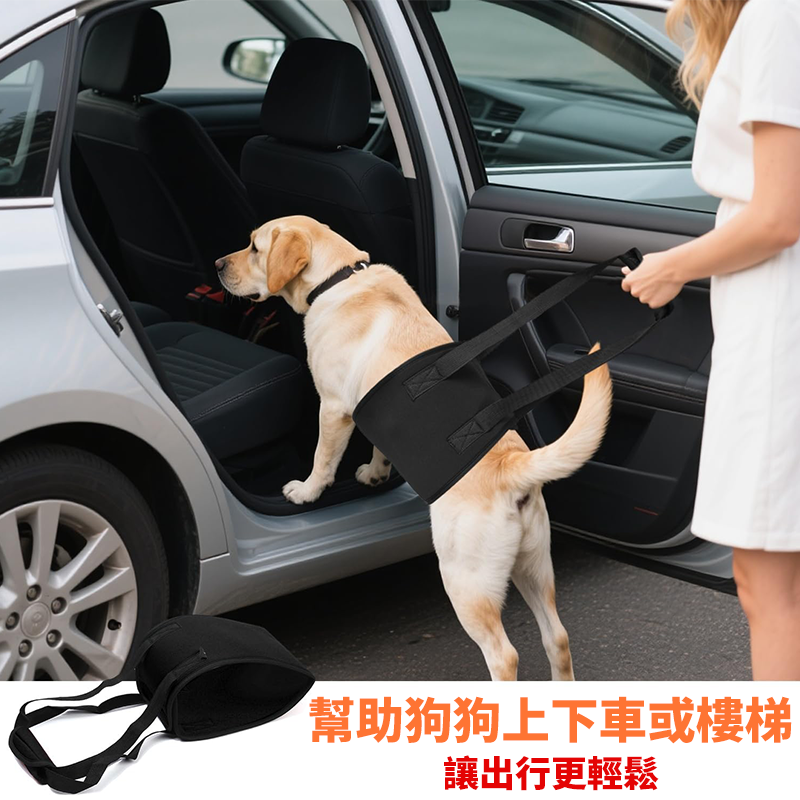 寵物輔助帶 步行提帶 牽引帶 老狗輔助帶 輔助背帶 寵物步行輔助 狗關節退化受傷輔助帶 腿部支撐 寵物腰帶-細節圖4