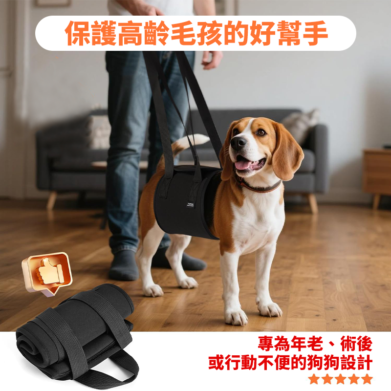 寵物輔助帶 步行提帶 牽引帶 老狗輔助帶 輔助背帶 寵物步行輔助 狗關節退化受傷輔助帶 腿部支撐 寵物腰帶-細節圖5