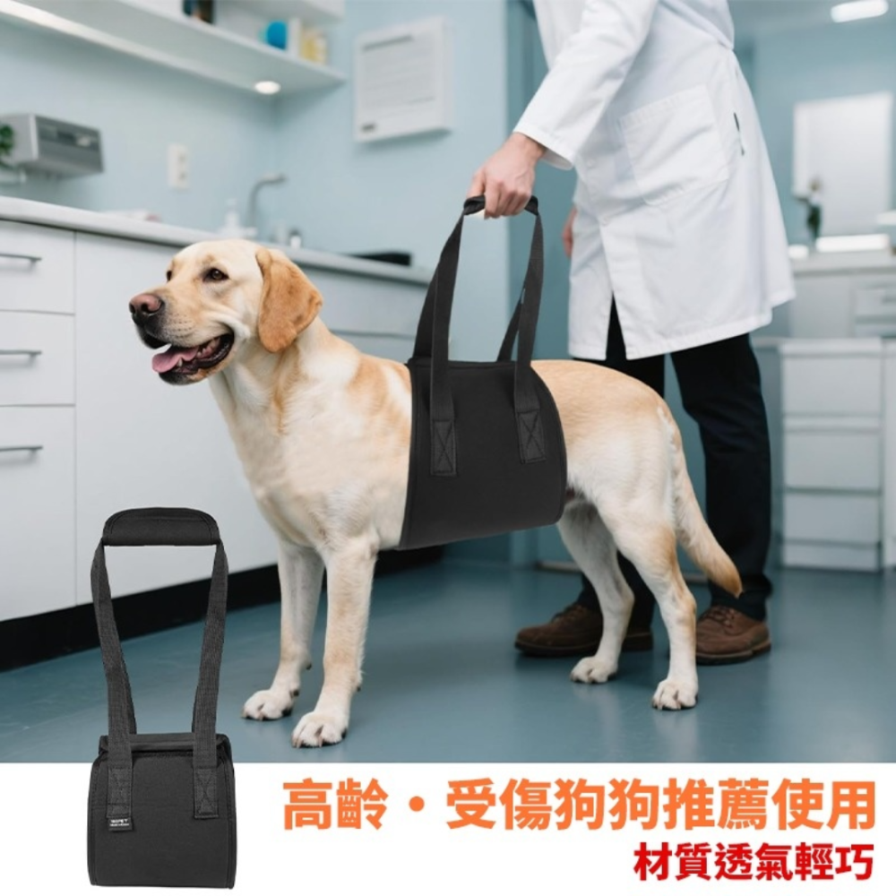 寵物輔助帶 步行提帶 牽引帶 老狗輔助帶 輔助背帶 寵物步行輔助 狗關節退化受傷輔助帶 腿部支撐 寵物腰帶-細節圖6