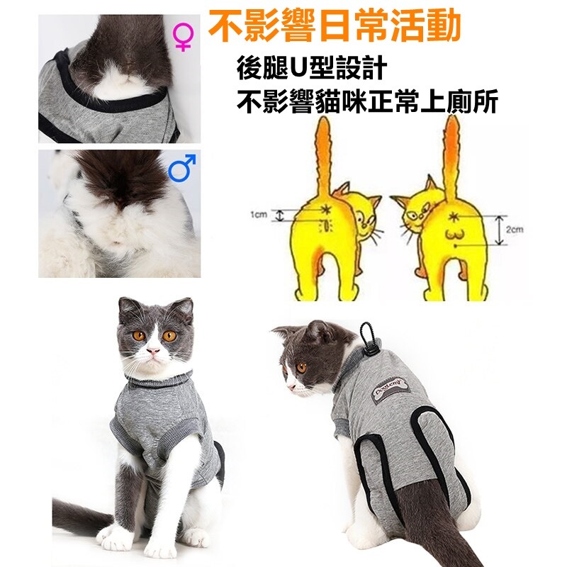 寵物防舔衣 貓咪術後服 貓咪手術服 防舔防抓衣 防舔頭套 防舔圈 貓咪絕育服 結紥服 寵物傷口防舔防抓服-細節圖4