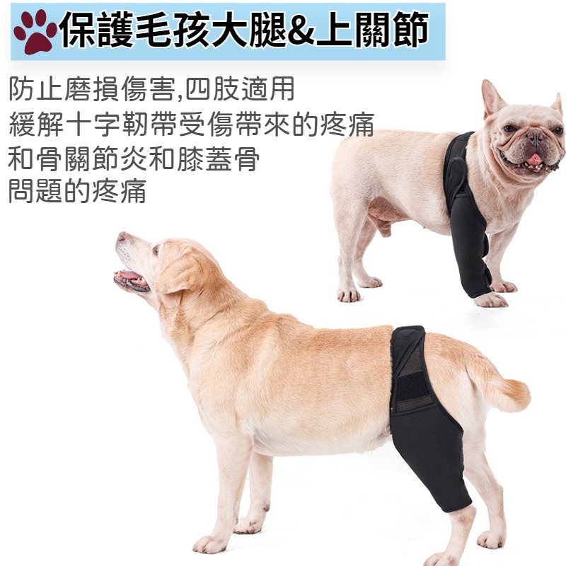 【狗大腿關節護膝】寵物護膝 狗護膝護腿 狗前後腿護膝 大腿關節固定 狗狗腿部骨折固定護具 前後腿支架輔助帶-細節圖2