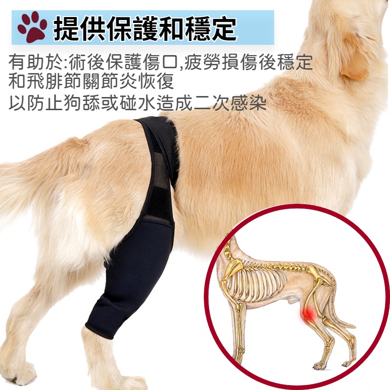 【狗大腿關節護膝】寵物護膝 狗護膝護腿 狗前後腿護膝 大腿關節固定 狗狗腿部骨折固定護具 前後腿支架輔助帶-細節圖3