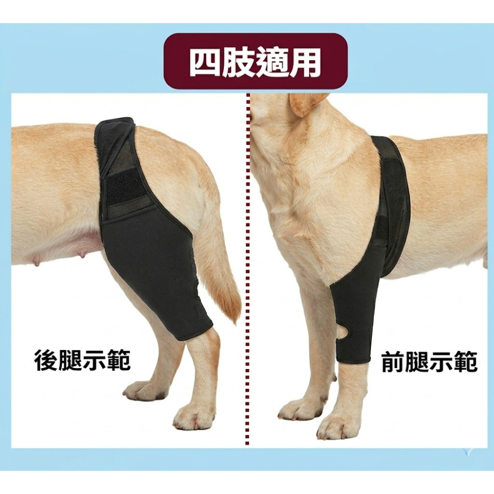 【狗大腿關節護膝】寵物護膝 狗護膝護腿 狗前後腿護膝 大腿關節固定 狗狗腿部骨折固定護具 前後腿支架輔助帶-細節圖5