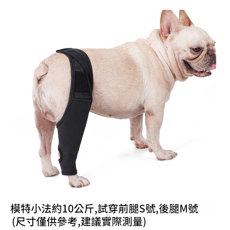 【狗大腿關節護膝】寵物護膝 狗護膝護腿 狗前後腿護膝 大腿關節固定 狗狗腿部骨折固定護具 前後腿支架輔助帶-細節圖7