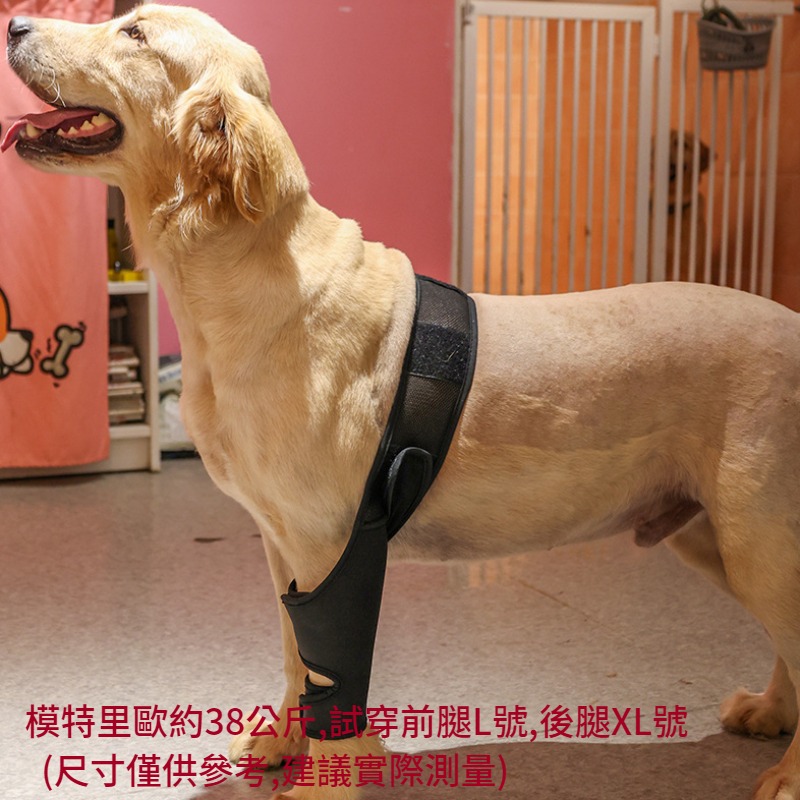 【狗大腿關節護膝】寵物護膝 狗護膝護腿 狗前後腿護膝 大腿關節固定 狗狗腿部骨折固定護具 前後腿支架輔助帶-細節圖8