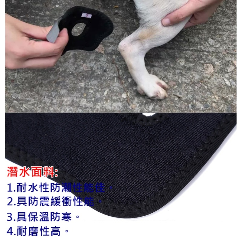 【台灣出貨 短筒狗護膝】寵物護膝 狗護膝護腿 寵物膝蓋保護 關節保護 狗術後護腿 寵物步行輔助 犬用護膝 短腿狗護膝-細節圖4