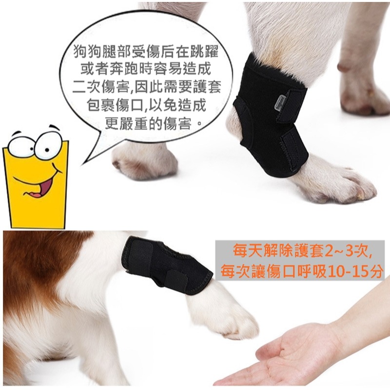 【台灣出貨 短筒狗護膝】寵物護膝 狗護膝護腿 寵物膝蓋保護 關節保護 狗術後護腿 寵物步行輔助 犬用護膝 短腿狗護膝-細節圖6