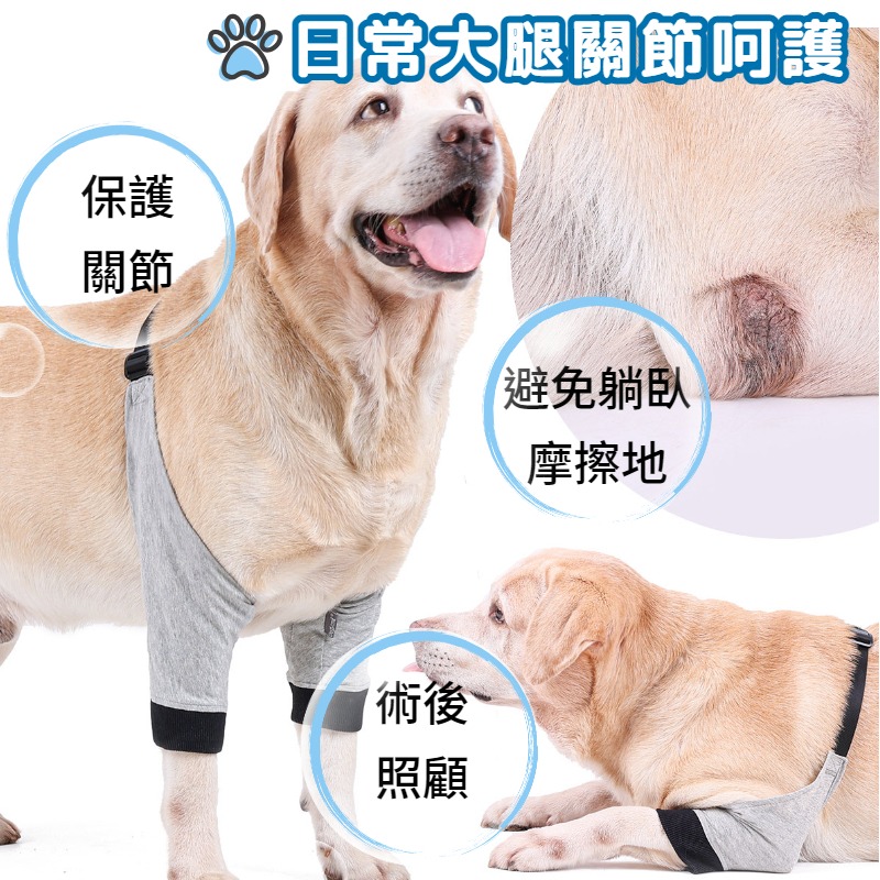 狗狗前腿保護套 護膝 狗腿部傷口保護 寵物前腿關節護套 狗護膝腿部護具 寵物膝蓋保護 關節保護 狗術後護腿防舔-細節圖2