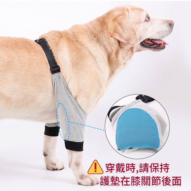 狗狗前腿保護套 護膝 狗腿部傷口保護 寵物前腿關節護套 狗護膝腿部護具 寵物膝蓋保護 關節保護 狗術後護腿防舔-細節圖4