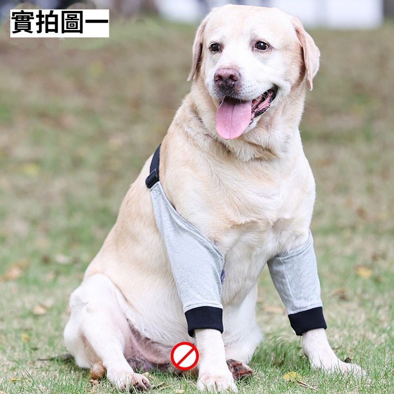 狗狗前腿保護套 護膝 狗腿部傷口保護 寵物前腿關節護套 狗護膝腿部護具 寵物膝蓋保護 關節保護 狗術後護腿防舔-細節圖7