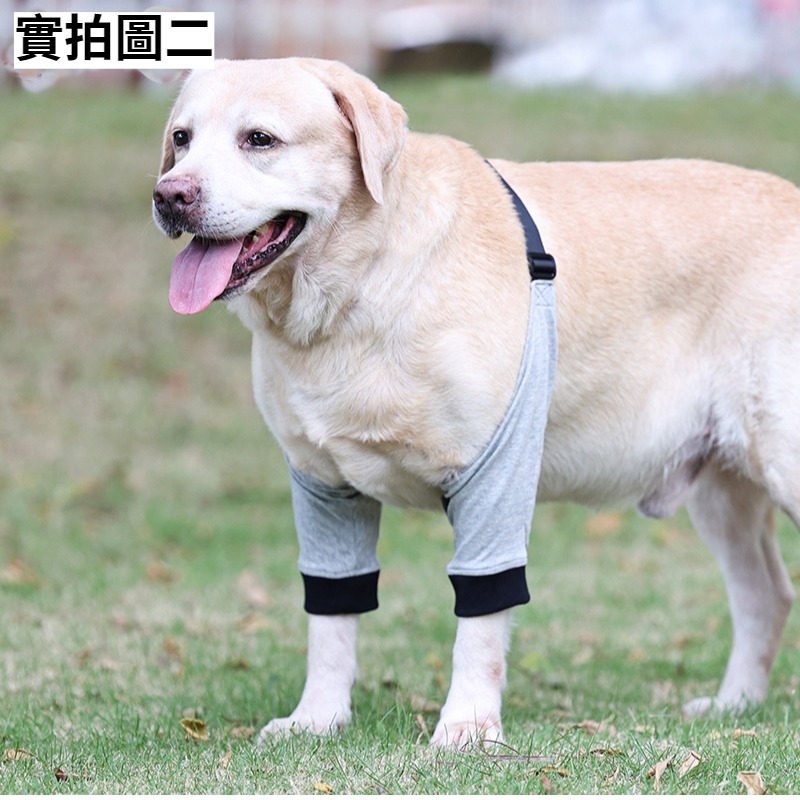 狗狗前腿保護套 護膝 狗腿部傷口保護 寵物前腿關節護套 狗護膝腿部護具 寵物膝蓋保護 關節保護 狗術後護腿防舔-細節圖8