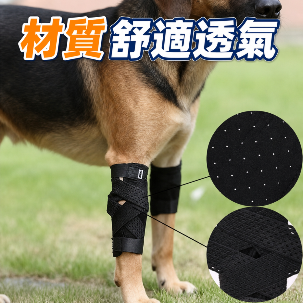【二代升級 金屬骨條支撐】狗護膝 護腿綁帶 寵物膝蓋保護 關節保護 狗術後護腿 寵物步行輔助 犬用護膝 寵物護膝-細節圖5