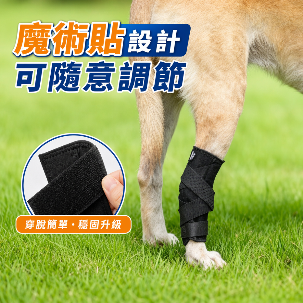 【二代升級 金屬骨條支撐】狗護膝 護腿綁帶 寵物膝蓋保護 關節保護 狗術後護腿 寵物步行輔助 犬用護膝 寵物護膝-細節圖6