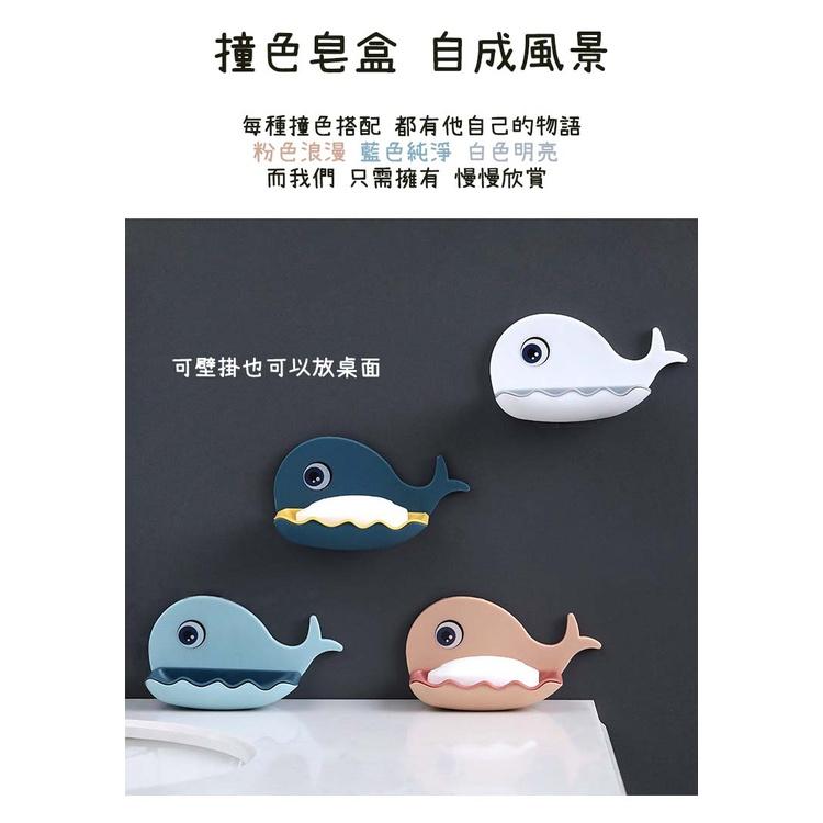 『台灣公司貨👑』鯨魚肥皂盒【腸腸的居家生活】『免運』鯨魚造型肥皂盒 可愛肥皂盒 瀝水肥皂盒 無痕肥皂架 置物架-細節圖7