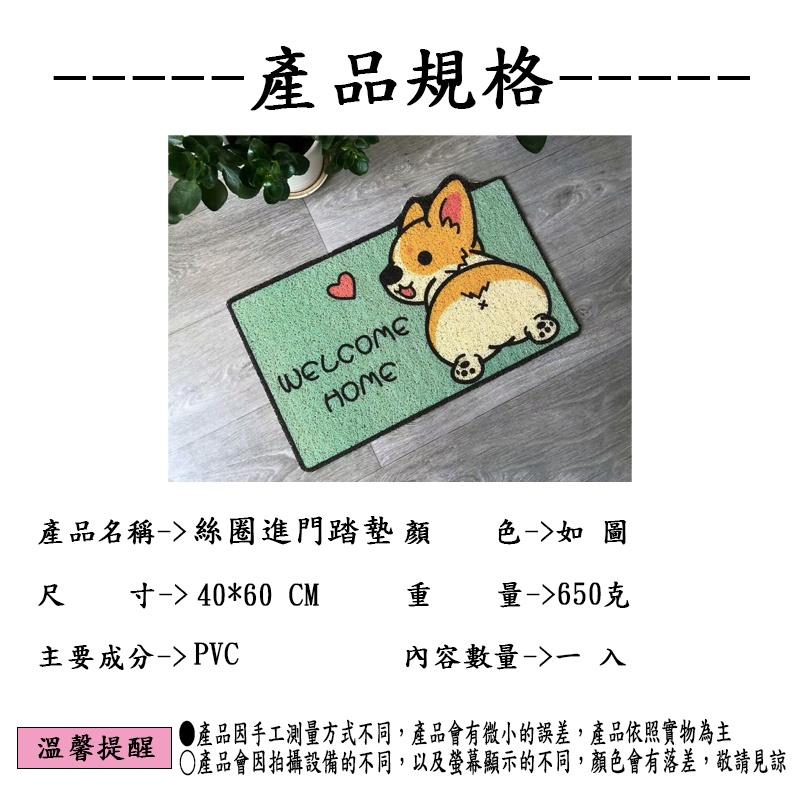 『蝦皮發票🧾台灣公司貨👑』PVC絲圈地墊 【腸腸的居家生活】『免運』 刮泥地墊 腳踏墊 進門墊 止滑地墊 地墊 卡通圖案-細節圖2