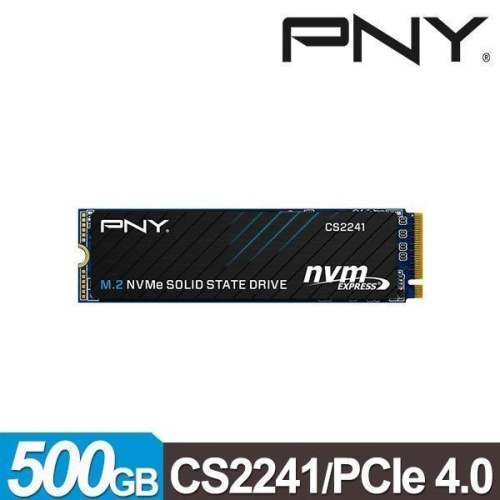 @電子街3C特賣會@全新 PNY CS2241 500G 1TB M.2 2280 PCIe 4.0 SSD 固態硬碟