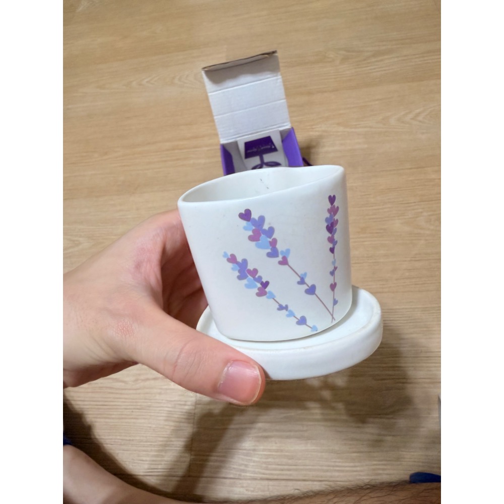 陶板屋 小盆栽-細節圖2