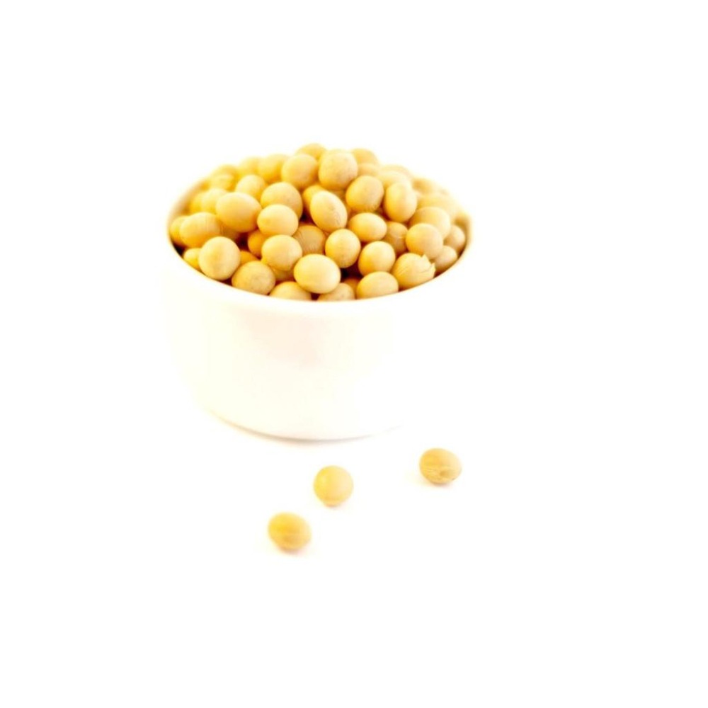 黃豆 頂級黃豆 超大顆黃豆 SOYBEAN 非基因改造 非基改黃豆 加拿大黃豆 非基因豆 五穀雜糧 食品原料-細節圖9
