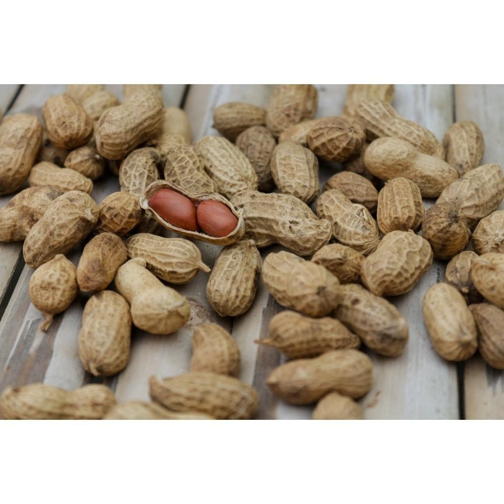 古早味花生糖 手作花生糖 雲林花生 花生角糖 微糖不黏牙 涮嘴零食【高山兄弟】【F121】古早味零食 傳統零食 年貨必備-細節圖6