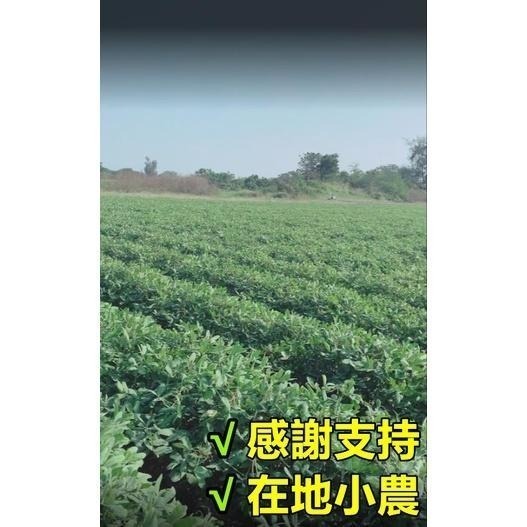 古早味花生糖 手作花生糖 雲林花生 花生角糖 微糖不黏牙 涮嘴零食【高山兄弟】【F121】古早味零食 傳統零食 年貨必備-細節圖8