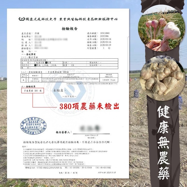 【免運】雲林蒜頭 蒜頭 蒜球 蒜瓣 蒜米 手工整理 在地小農 自產自銷【高山兄弟】【F0004】現貨供應 附網袋-細節圖5