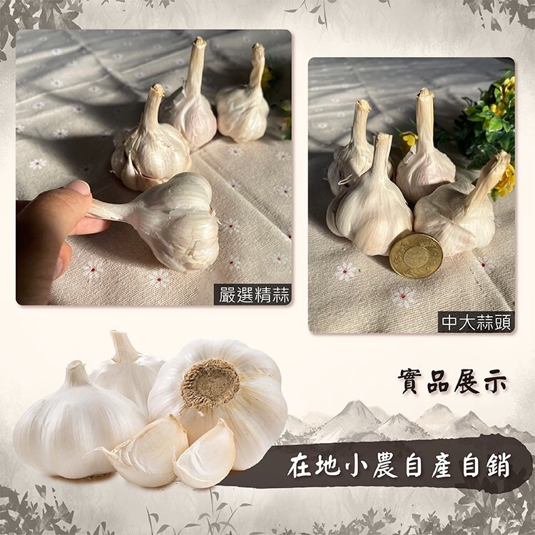 【免運】雲林蒜頭 蒜頭 蒜球 蒜瓣 蒜米 手工整理 在地小農 自產自銷【高山兄弟】【F0004】現貨供應 附網袋-細節圖6