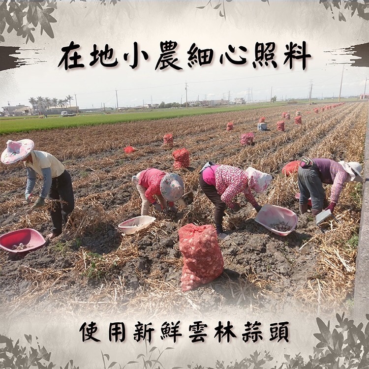【免運】雲林蒜頭 蒜頭 蒜球 蒜瓣 蒜米 手工整理 在地小農 自產自銷【高山兄弟】【F0004】現貨供應 附網袋-細節圖9