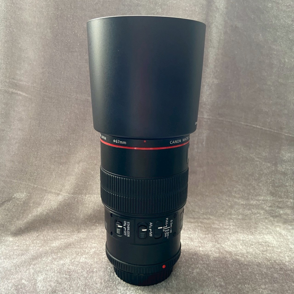 Canon 100mm F2.8 L macro IS 新百微 微距鏡 水貨-細節圖3