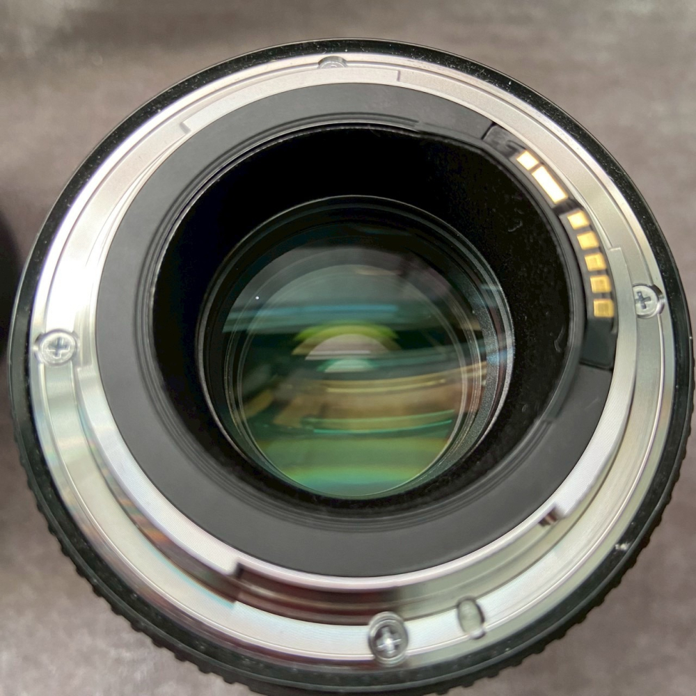Canon 100mm F2.8 L macro IS 新百微 微距鏡 水貨-細節圖6