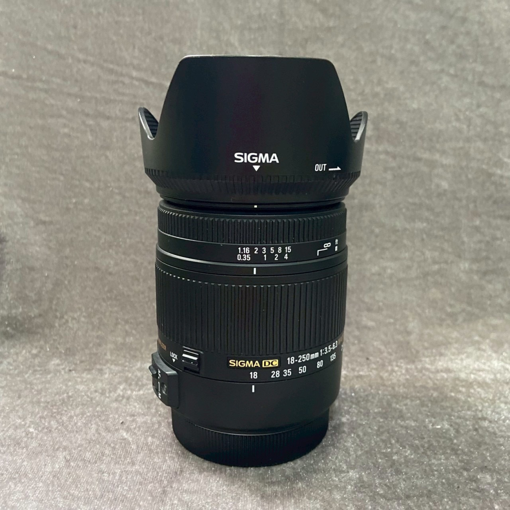 Canon 80D 水貨 + SIGMA 18-250mm F3.5-6.3 DC OS 水貨-細節圖6