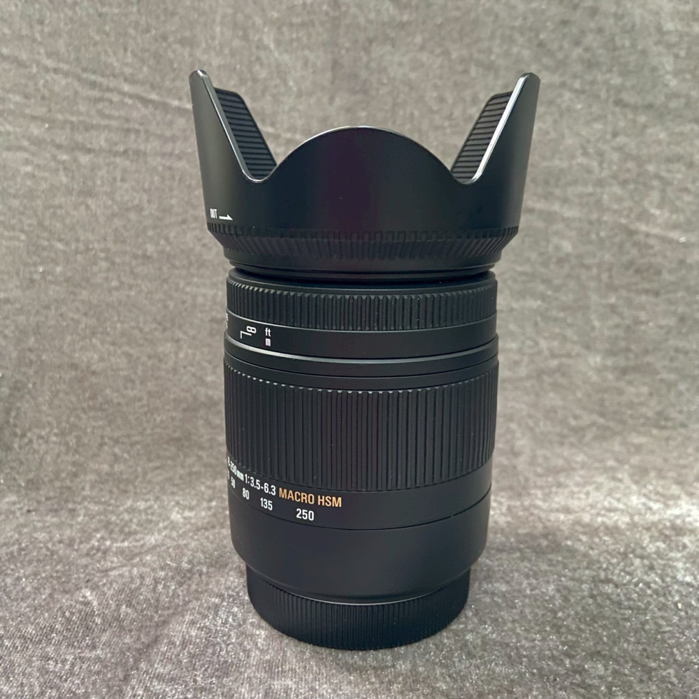 Canon 80D 水貨 + SIGMA 18-250mm F3.5-6.3 DC OS 水貨-細節圖7
