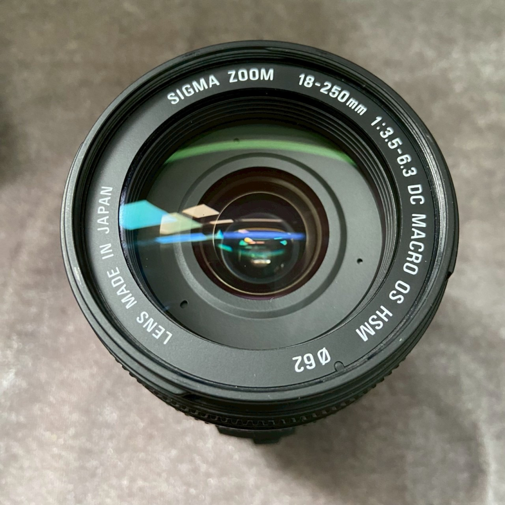 Canon 80D 水貨 + SIGMA 18-250mm F3.5-6.3 DC OS 水貨-細節圖8